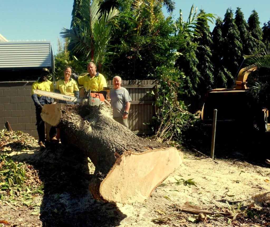 Tree Removal Townsville